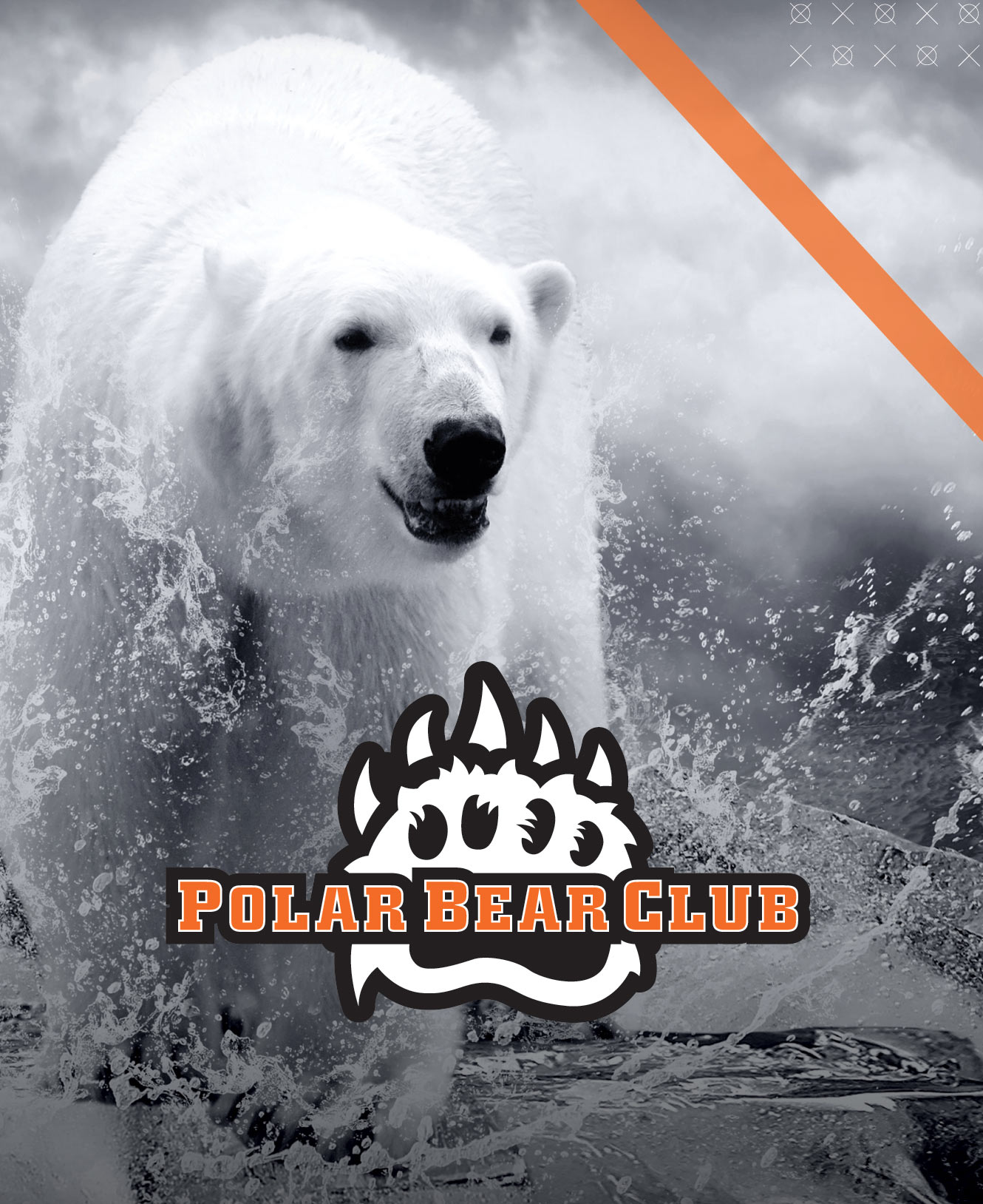 support onu polar bear club