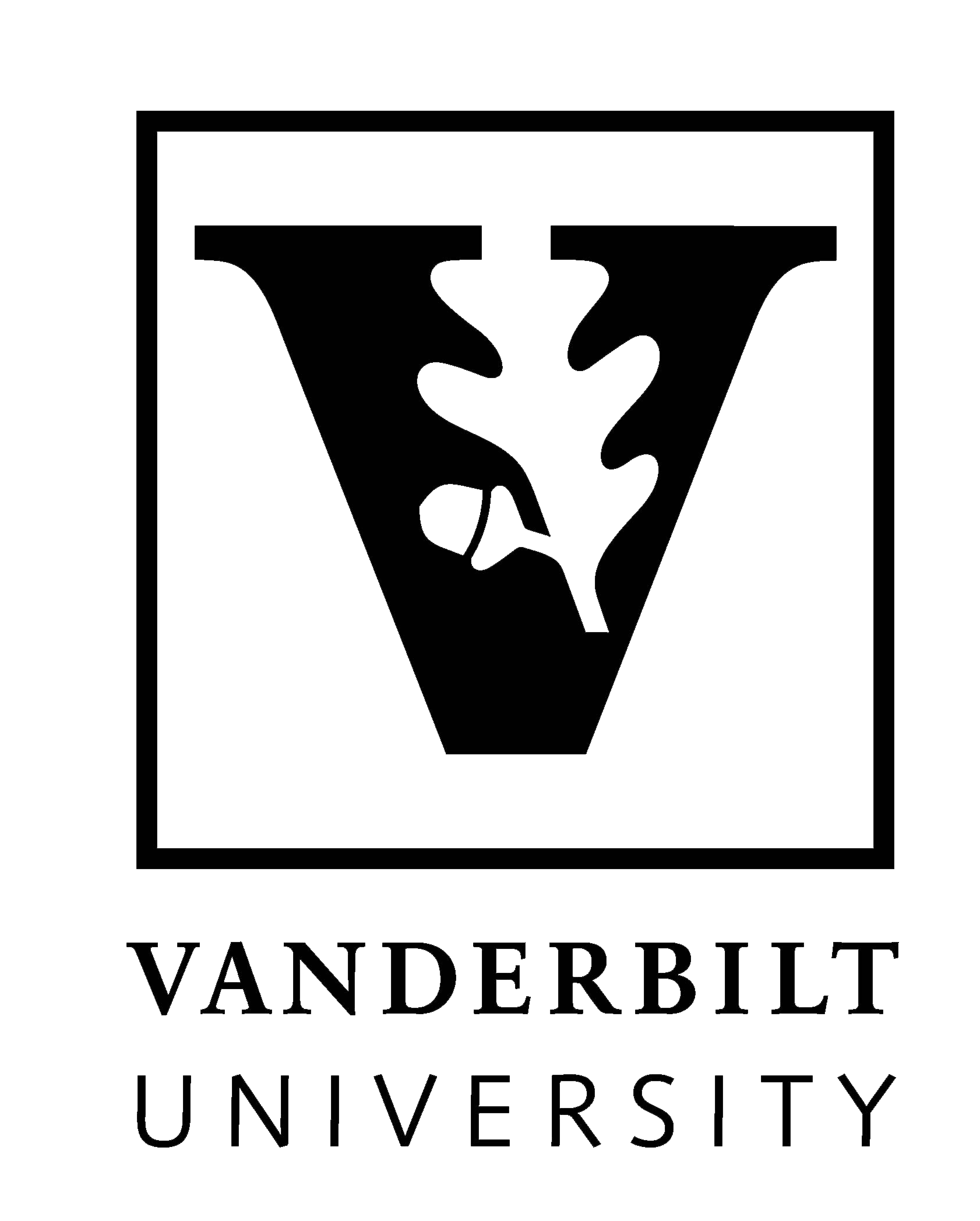 literature Vanderbilt logo