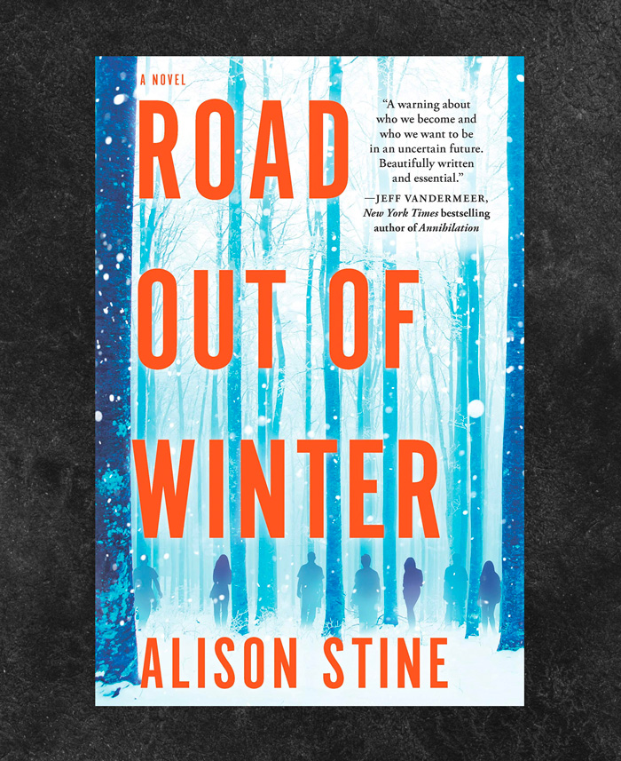 Road Out of Winter by Alison Stine book cover