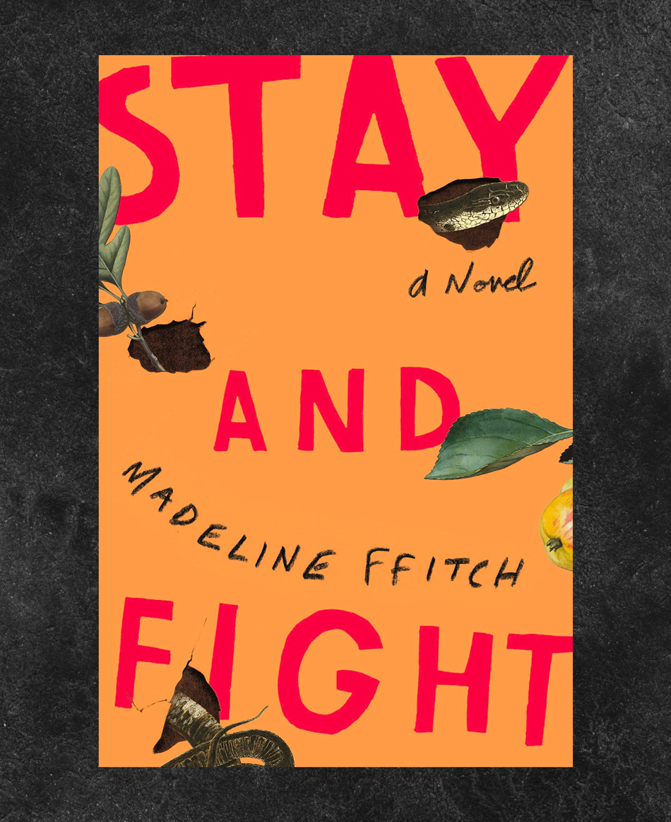 Stay and Fight by Madeline ffitch book cover