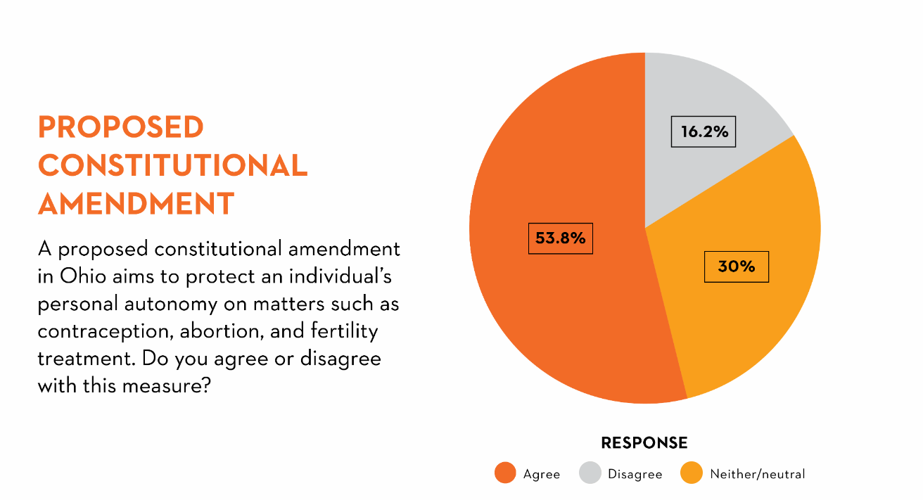 pie chart of proposed constitutional admendment