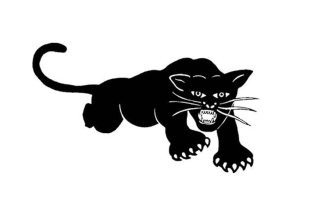 The original Black Panther Party logo.