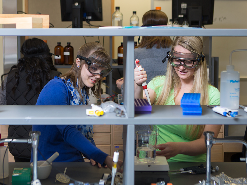 Students working with equipment in lab