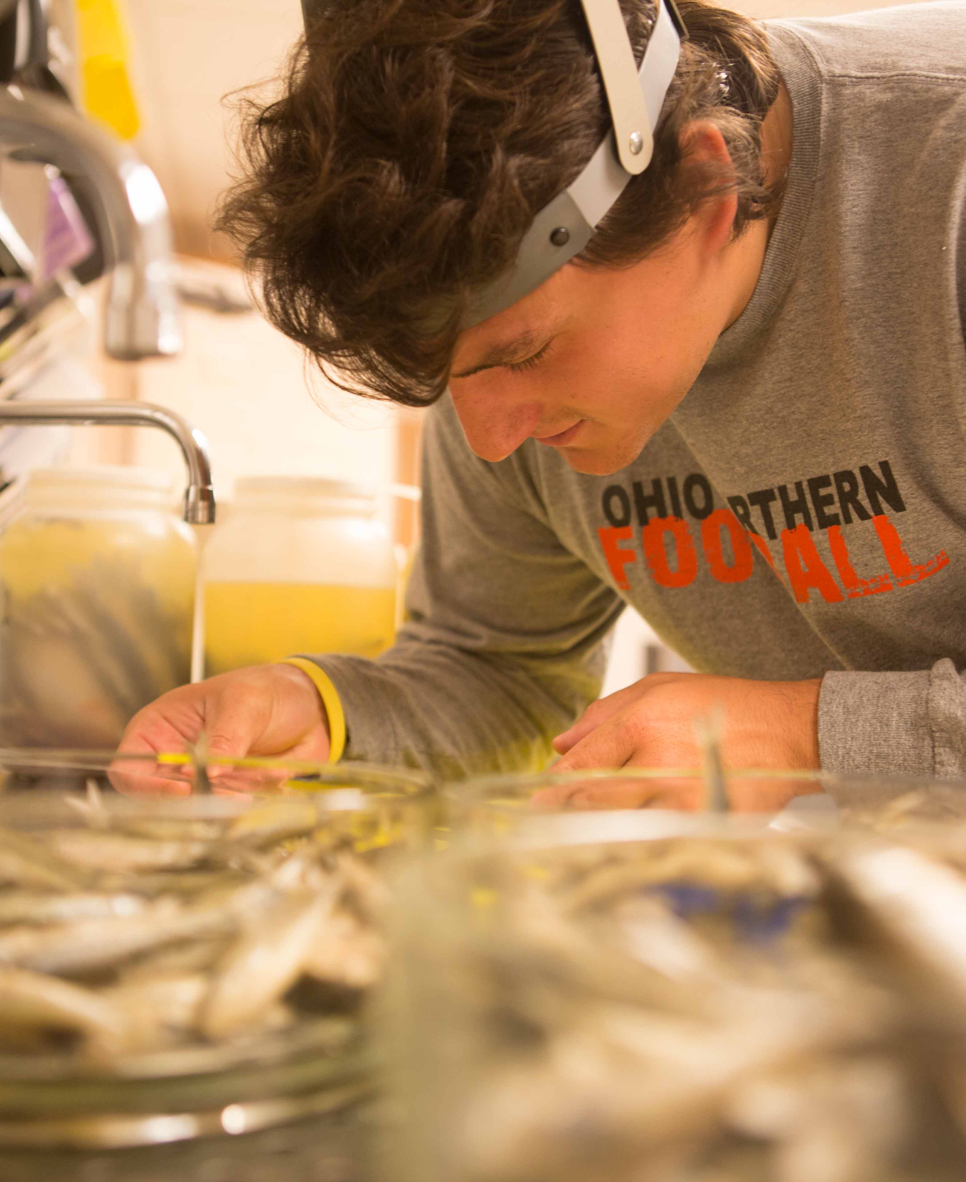 student working at the metzger nature center