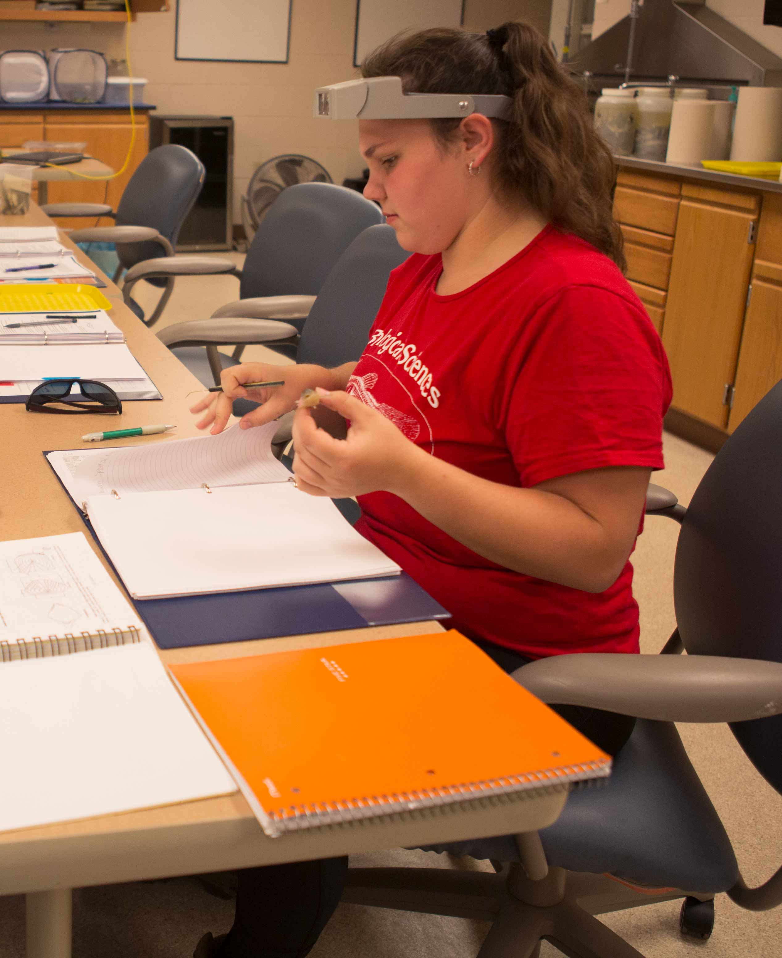 biology student working 