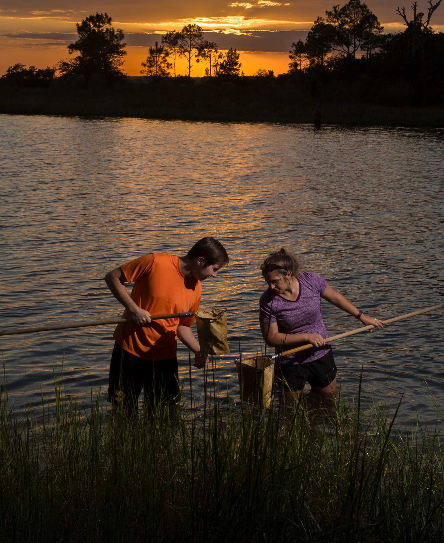 biology field study 