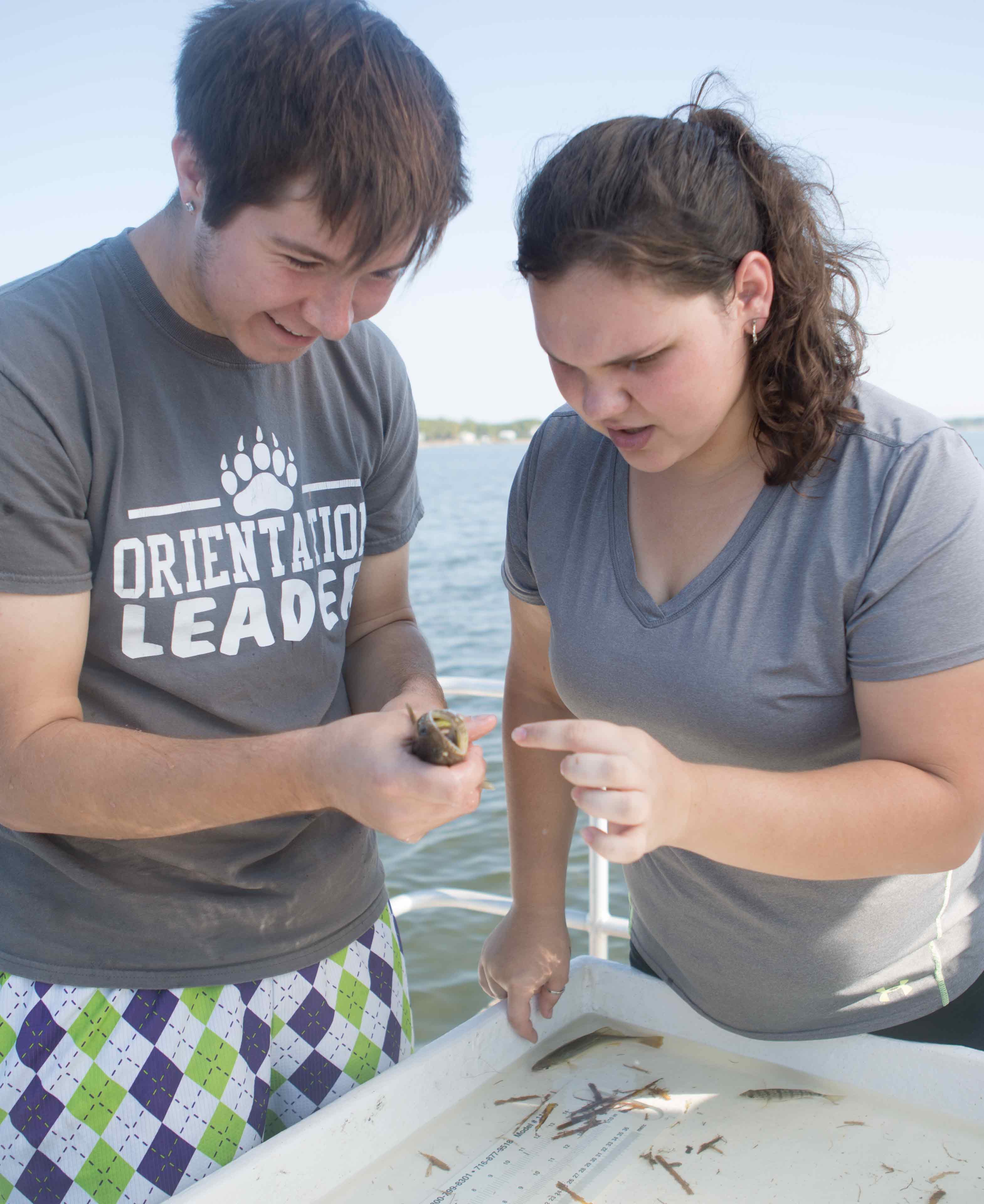 environmental and field biology field study 