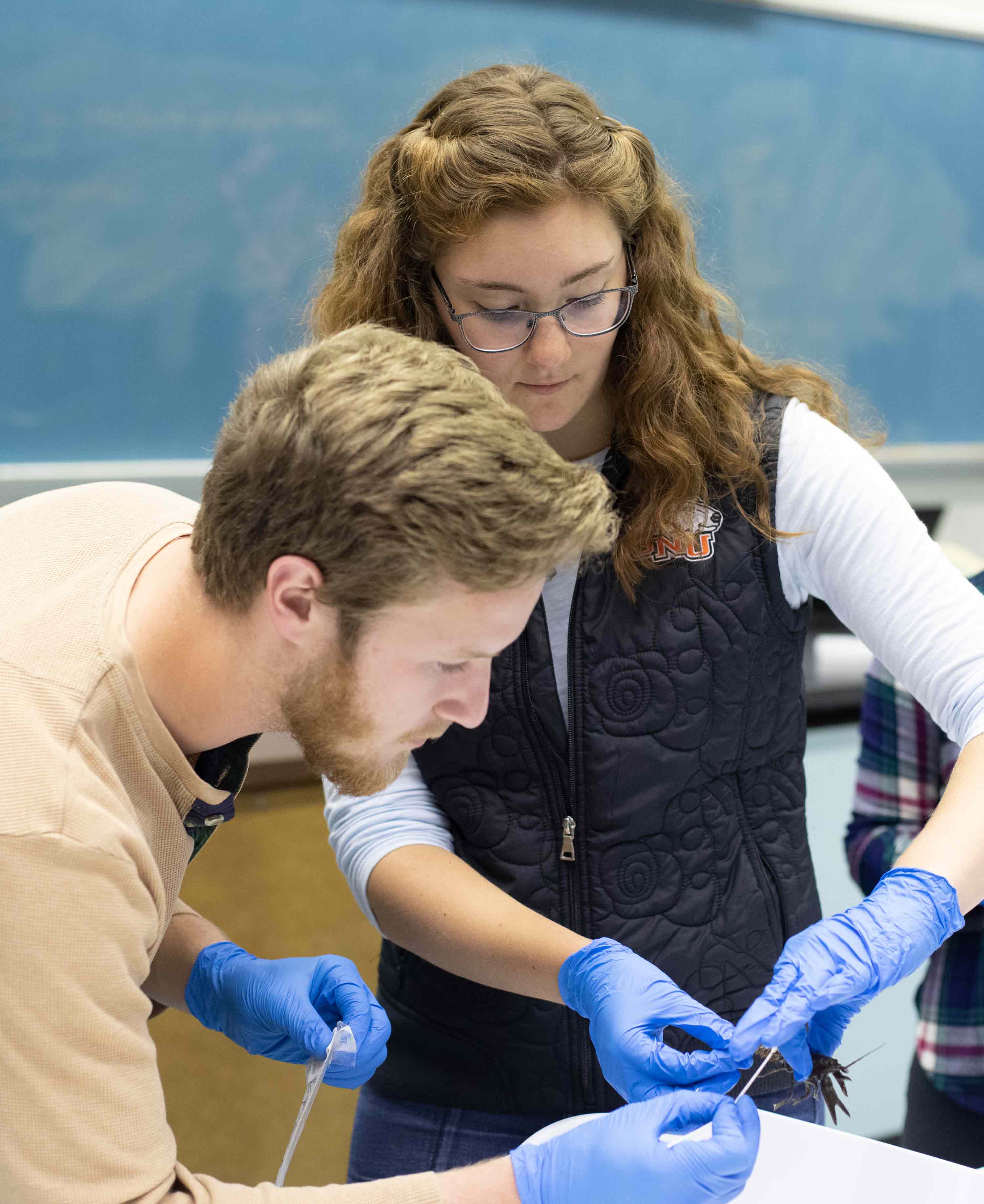 environmental and field biology class