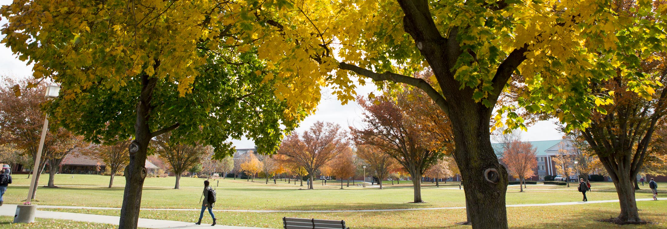 Fall leaves decorate the Tundra at Ohio Northern University