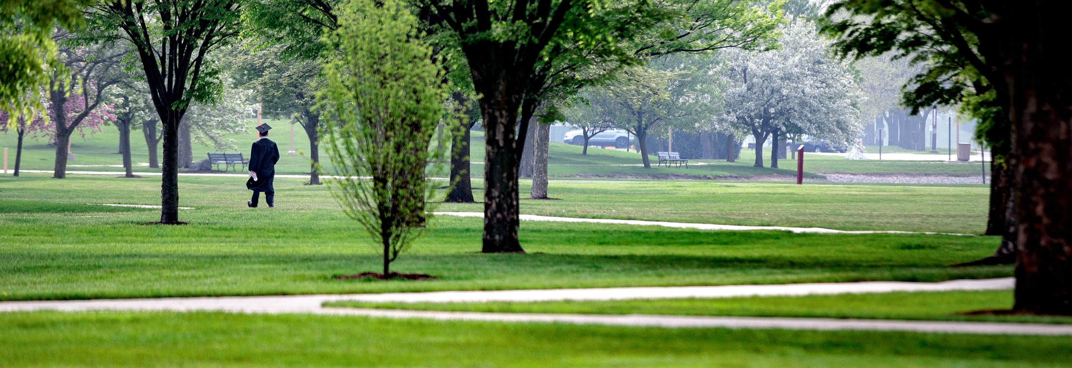 graduate walking across campus