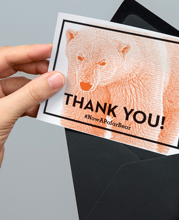 Thank you postcards