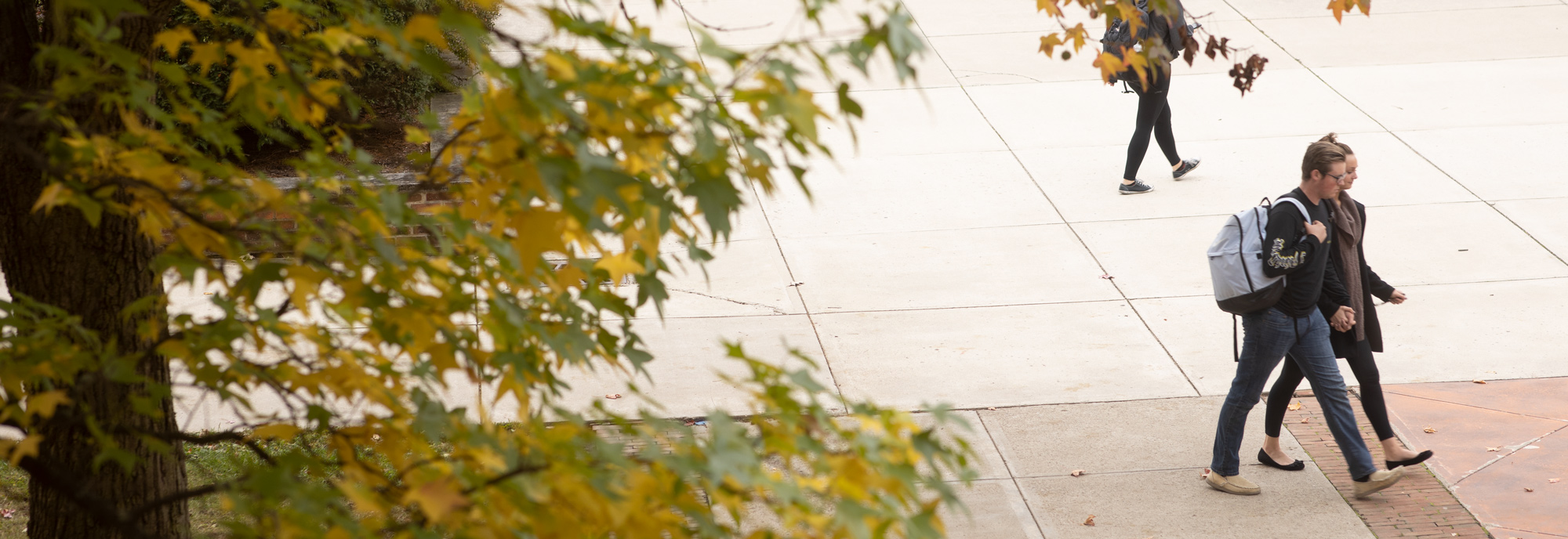 Fall leaves decorate the campus of Ohio Northern University.