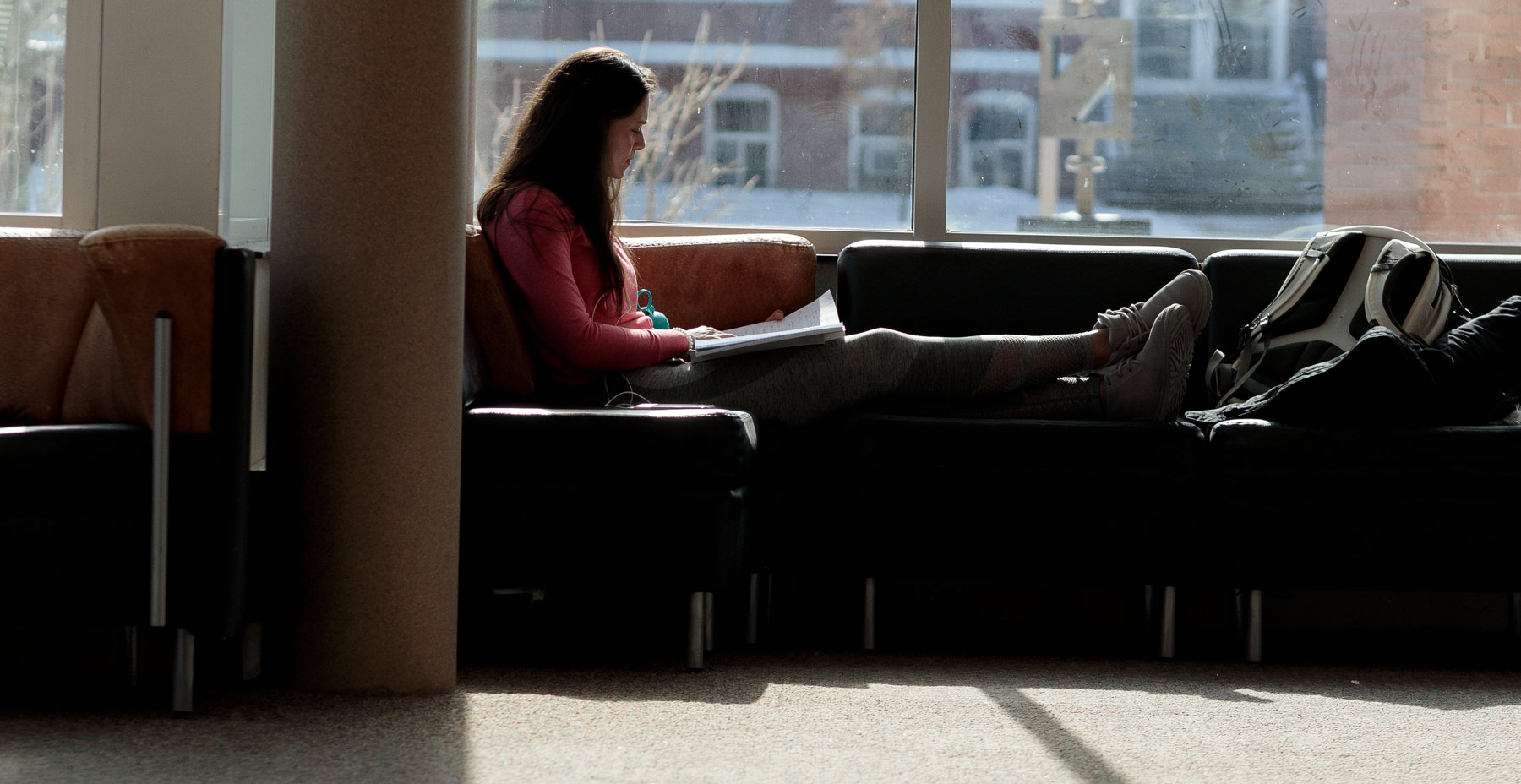 Business student studying by the window.