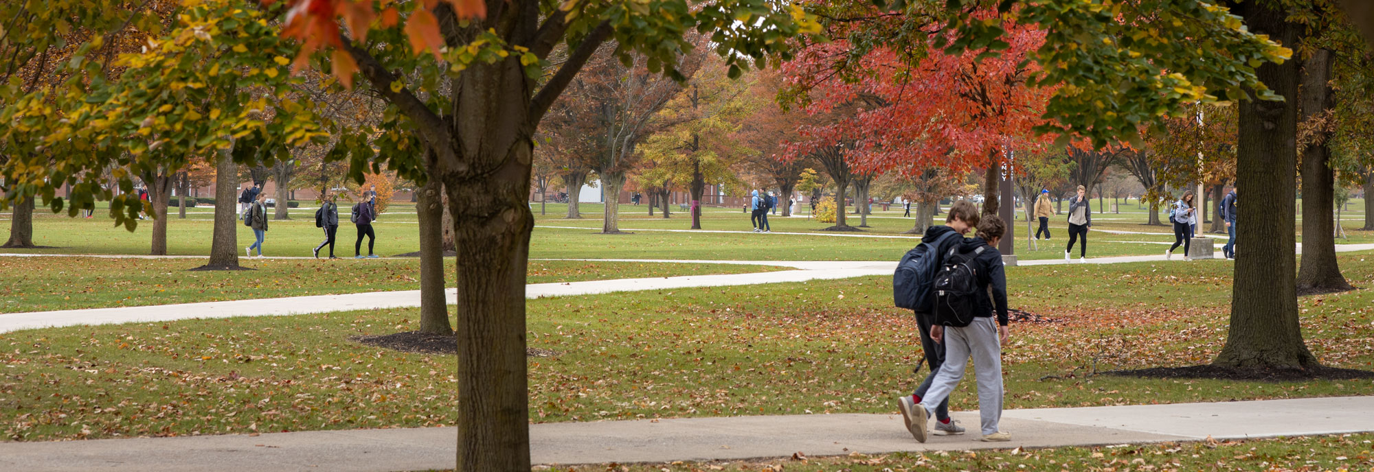 Fall leaves decorate the campus of Ohio Northern University.