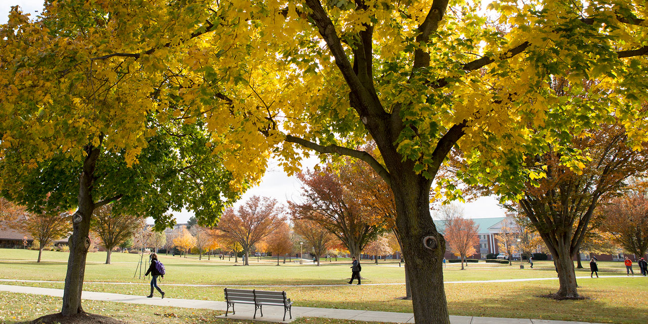 students walking across campus during a colorful fall day