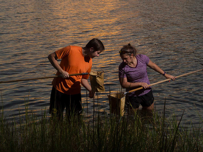 Environmental and Field Biology