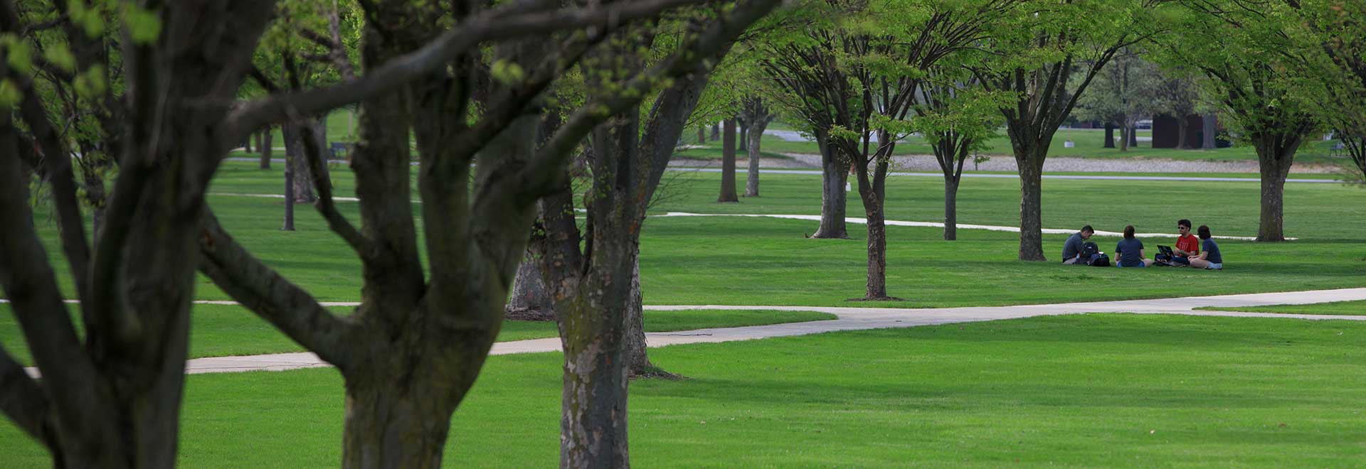 The ONU tundra in spring