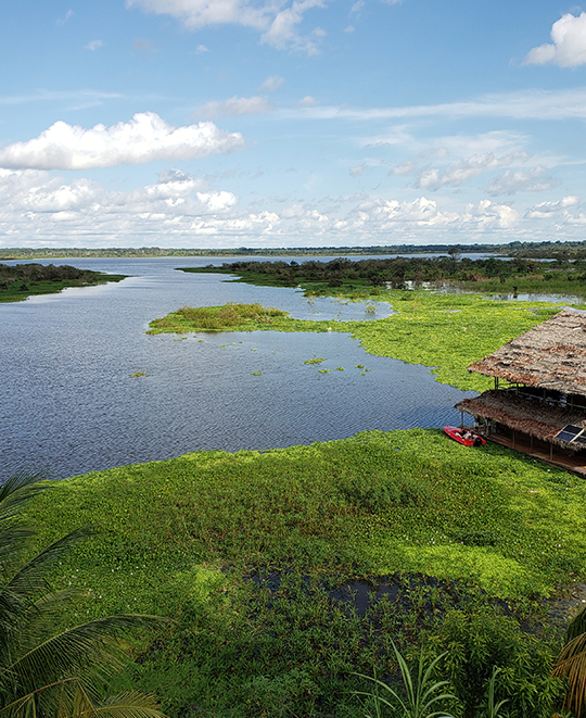 View of the Amazon River from the city of Iquitos.