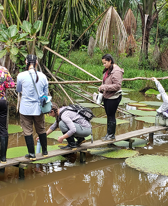 Hall - Madeline checking out the giant water lilies. “We were allowed to kneel down and touch them!”