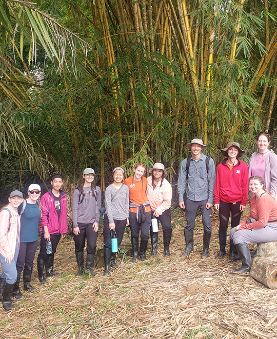 Hall - The ONU contingent on their last hike in the Amazon. “We went to see the Ojé tree! It was massive. This picture is at a pit stop with Bamboo tree behind us.”