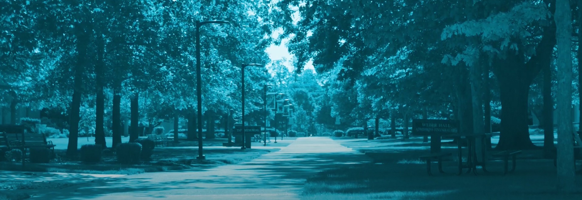 ONU landscape with blue colorized over it