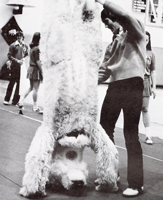 1976: Upside down Polar Bear