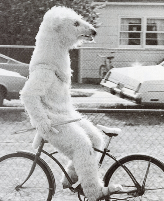 1979: Bike riding backwards Polar Bear