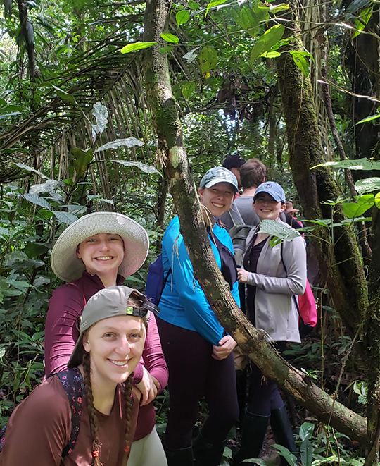 Exploring the Amazon rainforest 03