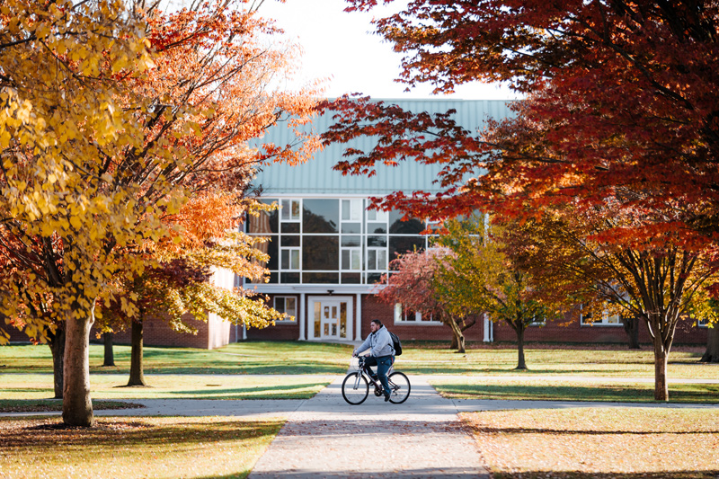 fall leaves on the campus of ONU