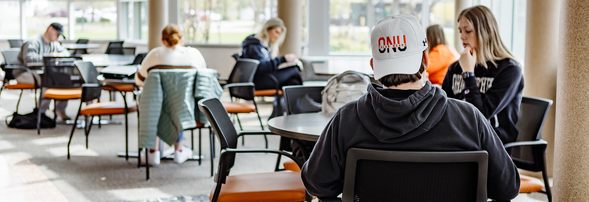 Students Studying in a common area