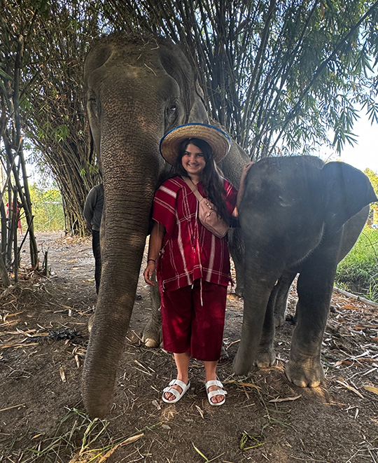 Photo of Mallory standing next to 2 elephants