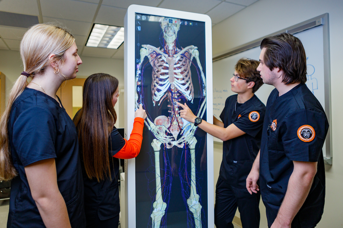 anatomage table