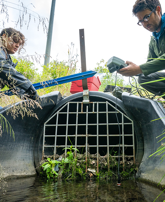 Photo of Elizabeth and another person getting water samples from a storm drain