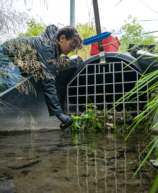 Photo of Elizabeth grabbing a water sample from the drain