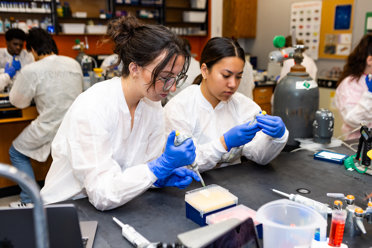 students working in classroom lab