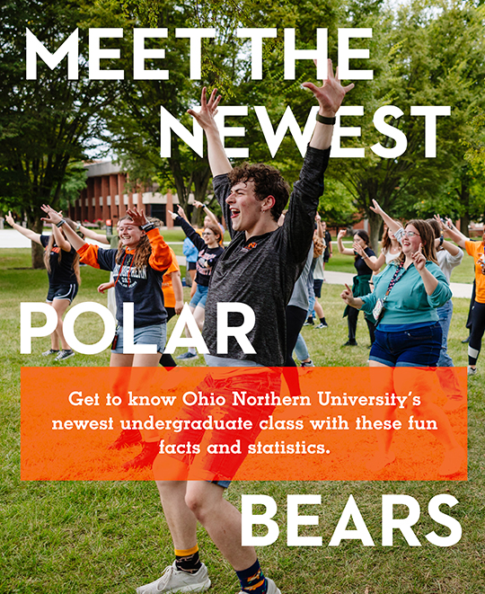 Graphic composite with text saying meet the newest polar bears