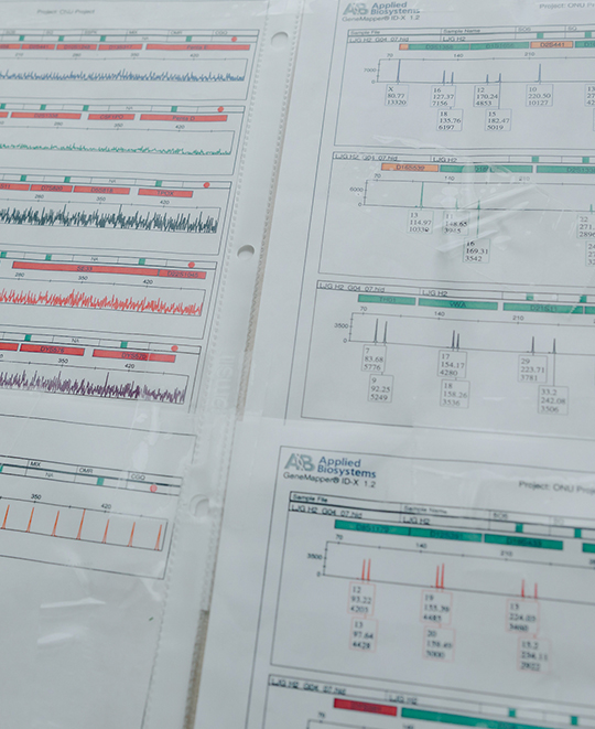 Photo of DNA results