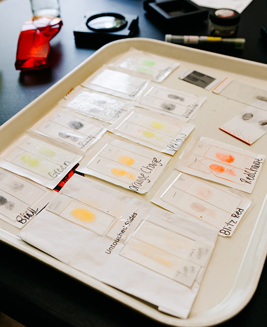 Photo of tray with different finger prints collected