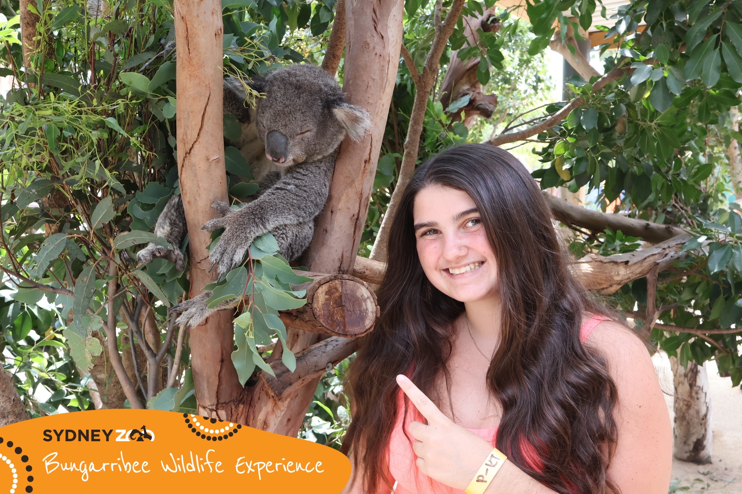 Mallory with a koala bear