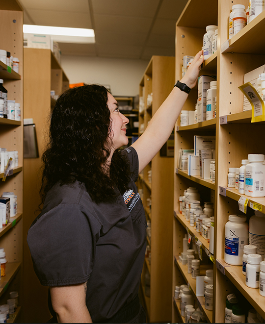 Hailey reaching high on a shelf for medicine