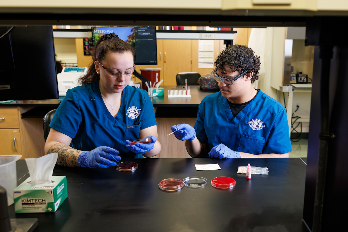 Students working in the lab