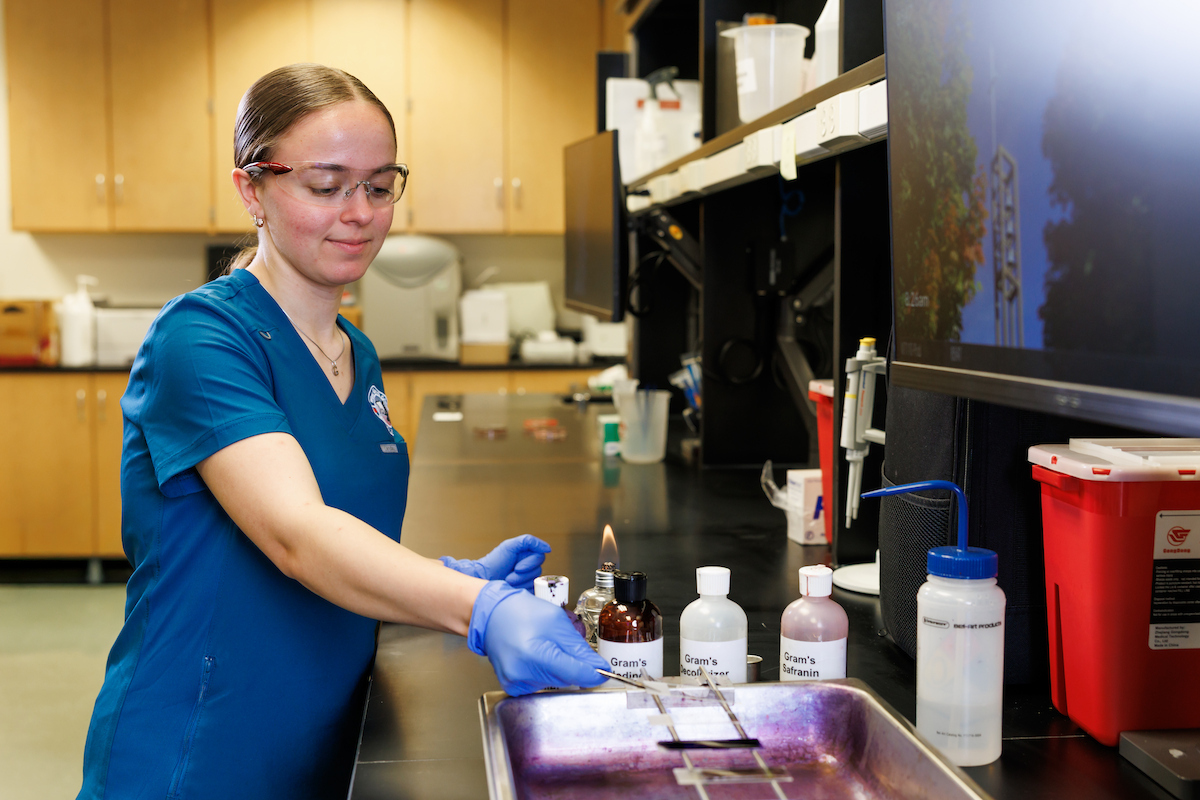 Student working with lab equipment