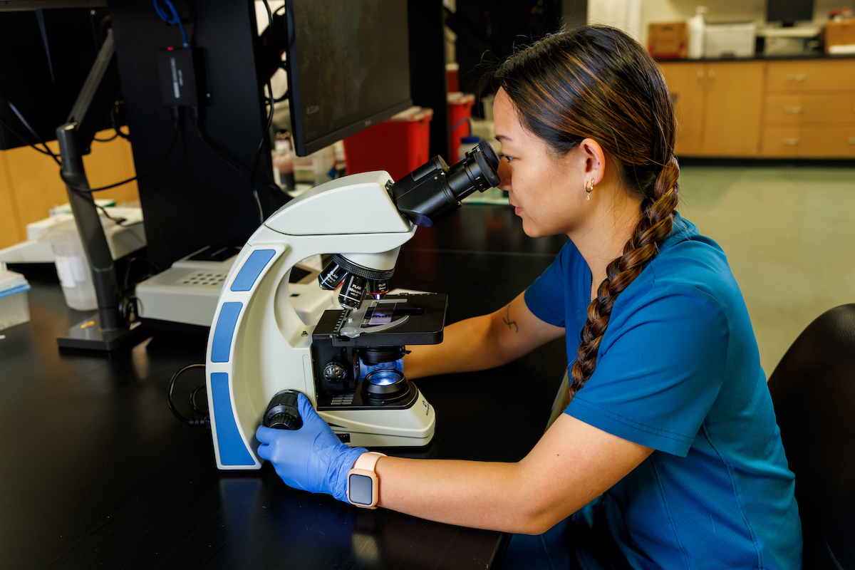 Student working in a lab