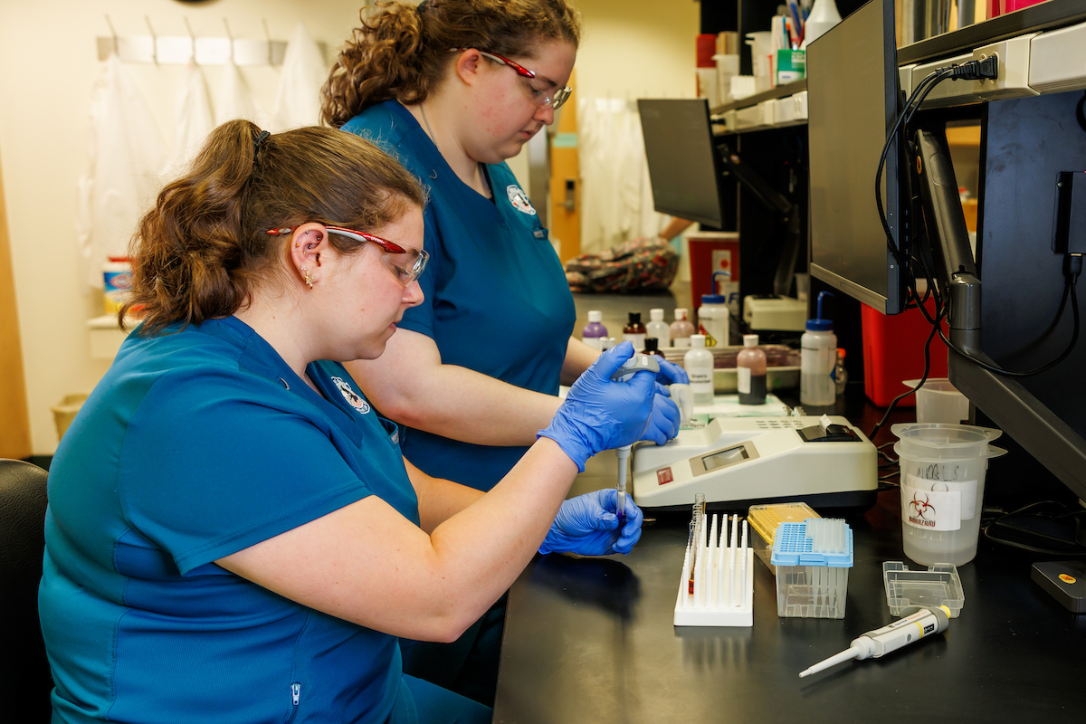 students working on a lab project