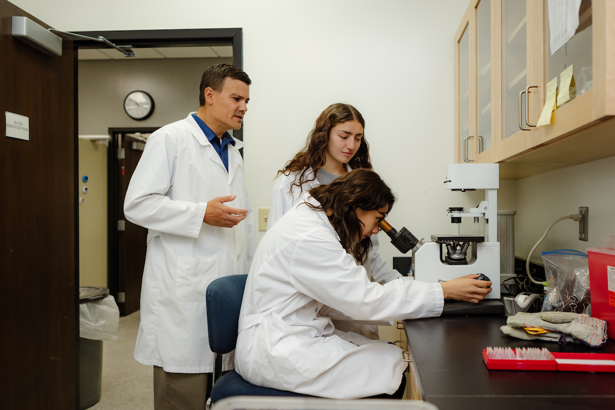ONU researchers discover key factor in PTSD treatment method that uses hallucinogenic
