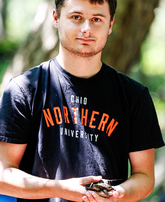 ONU biology student holding a juvenile Eastern Box Turtle outdoors.