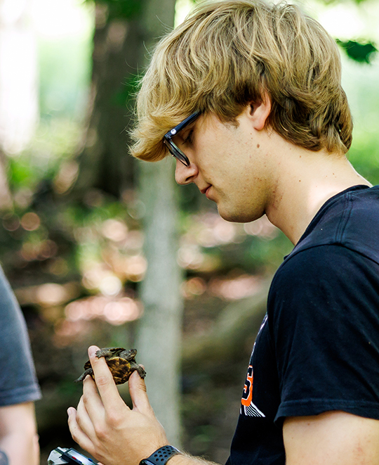 ONU biology student looking closely at a juvenile Eastern Box Turtle in his hand.