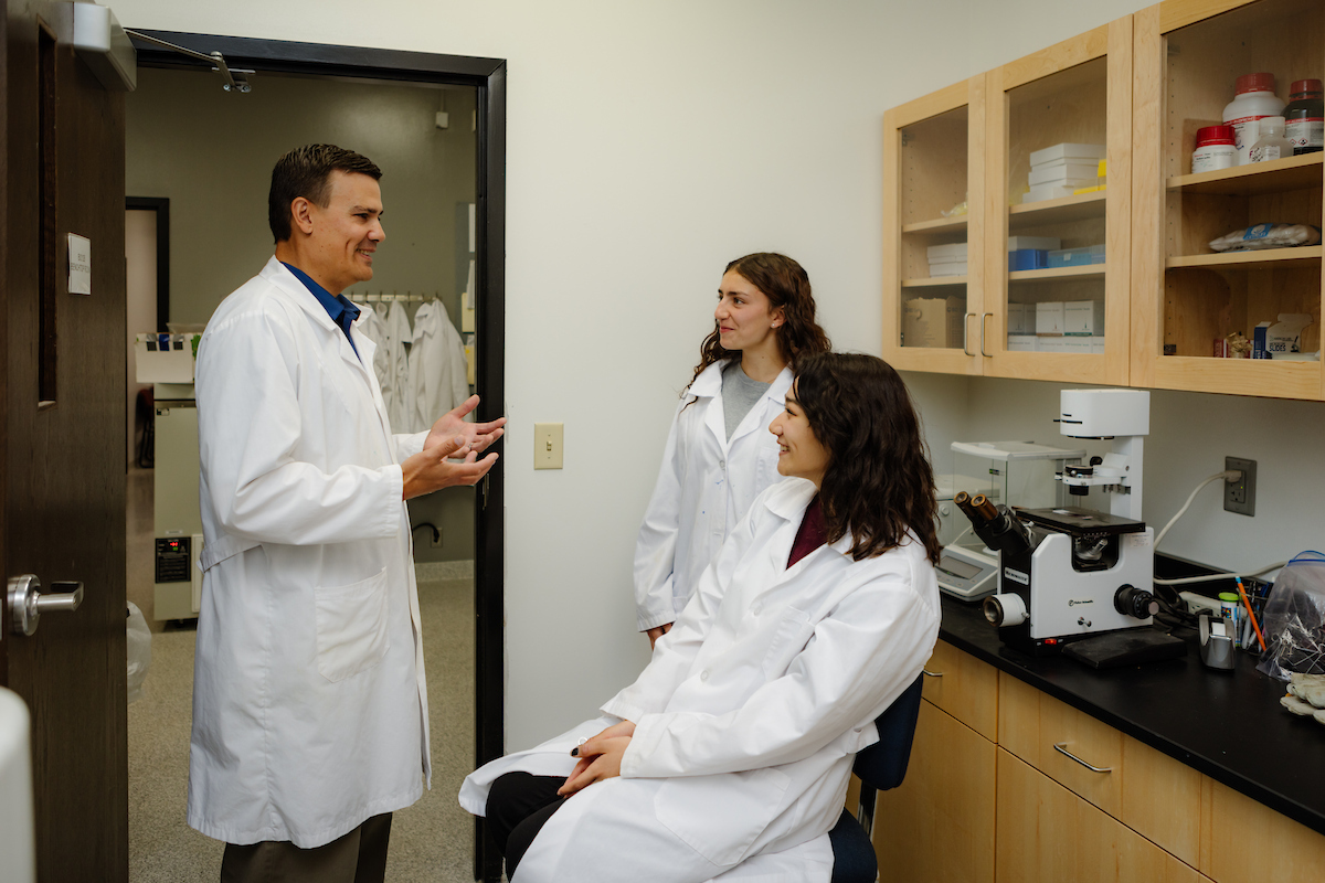 ONU researchers discover key factor in PTSD treatment method that uses hallucinogenic
