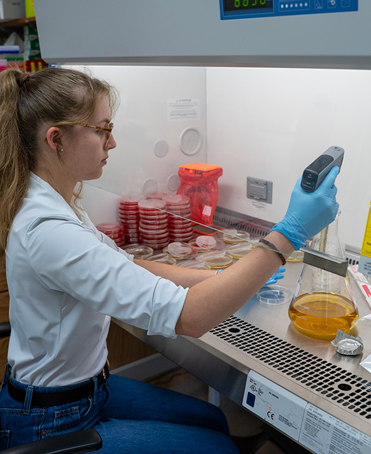 Cora Neville working with culture tubes and samples in a biology research laboratory.