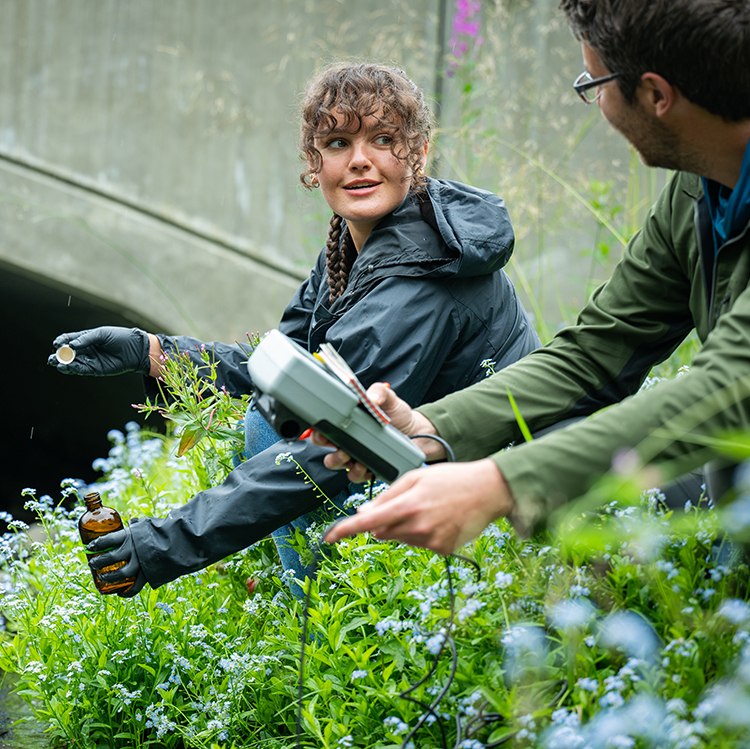 Elizabeth Gruen with a prestigious Research Experience for Undergraduates (REU) at the University of Alaska, Anchorage 